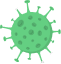 virus